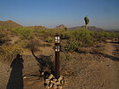 photo thumbnail #5