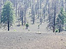 photo thumbnail #10