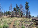 photo thumbnail #14