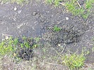 photo thumbnail #15