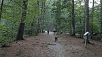 photo thumbnail #4