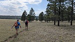 photo thumbnail #14