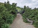 photo thumbnail #7
