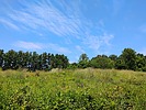 photo thumbnail #12