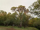 photo thumbnail #10