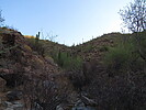 photo thumbnail #4