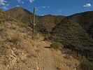 photo thumbnail #11