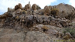 photo thumbnail #13