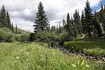 photo thumbnail #5