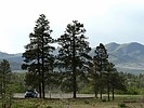photo thumbnail #9