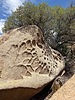 photo thumbnail #13