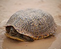 photo thumbnail #13