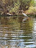 photo thumbnail #15