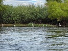 photo thumbnail #10