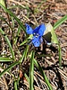 photo thumbnail #13
