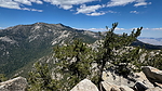 photo thumbnail #12
