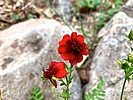 photo thumbnail #15