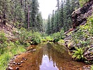 photo thumbnail #14