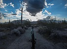 photo thumbnail #2