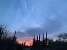 photo thumbnail #10