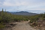 photo thumbnail #6