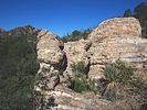 photo thumbnail #3