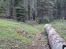 photo thumbnail #2