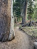photo thumbnail #15