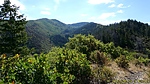 photo thumbnail #14