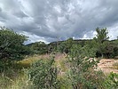 photo thumbnail #13
