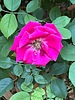 photo thumbnail #8