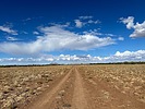 photo thumbnail #10