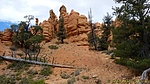 photo thumbnail #8