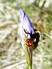photo thumbnail #13