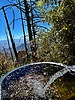 photo thumbnail #7