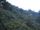 photo thumbnail #10