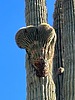 photo thumbnail #6