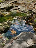 photo thumbnail #15