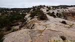 photo thumbnail #15