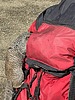 photo thumbnail #4