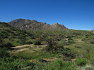 photo thumbnail #12