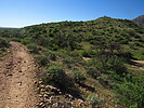 photo thumbnail #13