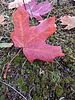 photo thumbnail #14