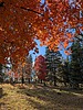 photo thumbnail #15