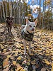 photo thumbnail #6