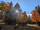 photo thumbnail #10