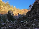 photo thumbnail #6