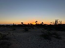 photo thumbnail #1