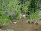photo thumbnail #15