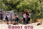 photo thumbnail #1